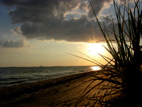 golden glow - Provincetown, MA