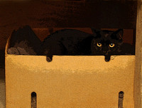 this is how it all began. . . in his little box in the basement.