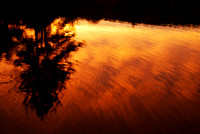 Elements: FIRE, WOOD and WATER